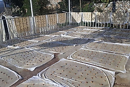 ÇÜNGÜŞ CEVİZLİ  PESTİL 1 KG