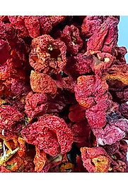 KURUACI BİBER 1 İP