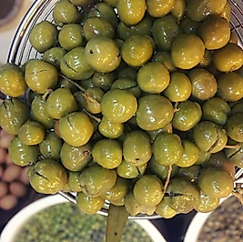 DERİK HALHAL ZEYTİN 1KG